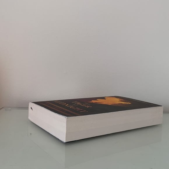 The tiger at midnight by swati teerdhala paperback book YA fantasy novel - Picture 5 of 5